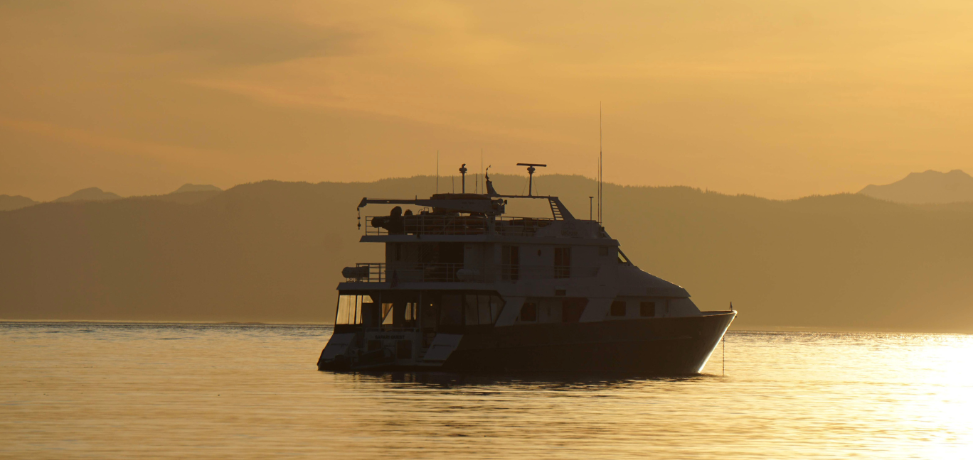 -UnCruise Adventures